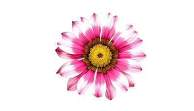 Logo_flower