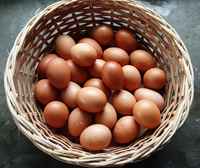 Brown_eggs